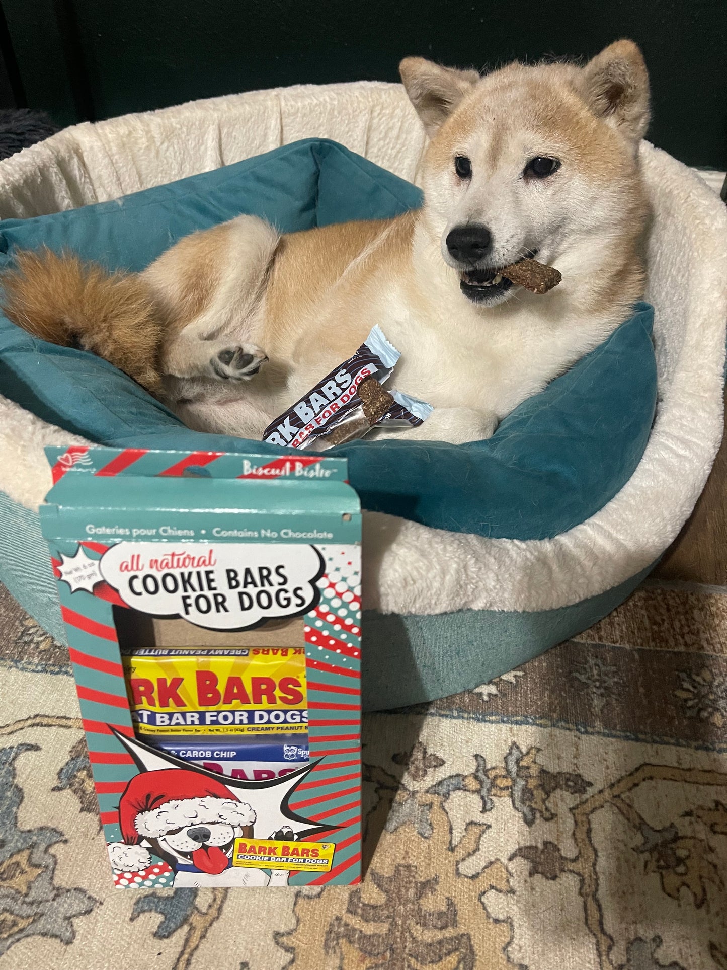 Bark Bar Cookie Bars