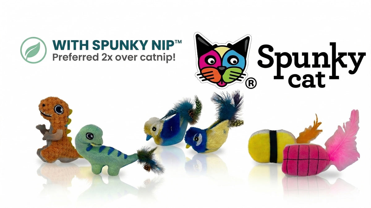 SPUNKY CAT TOYS