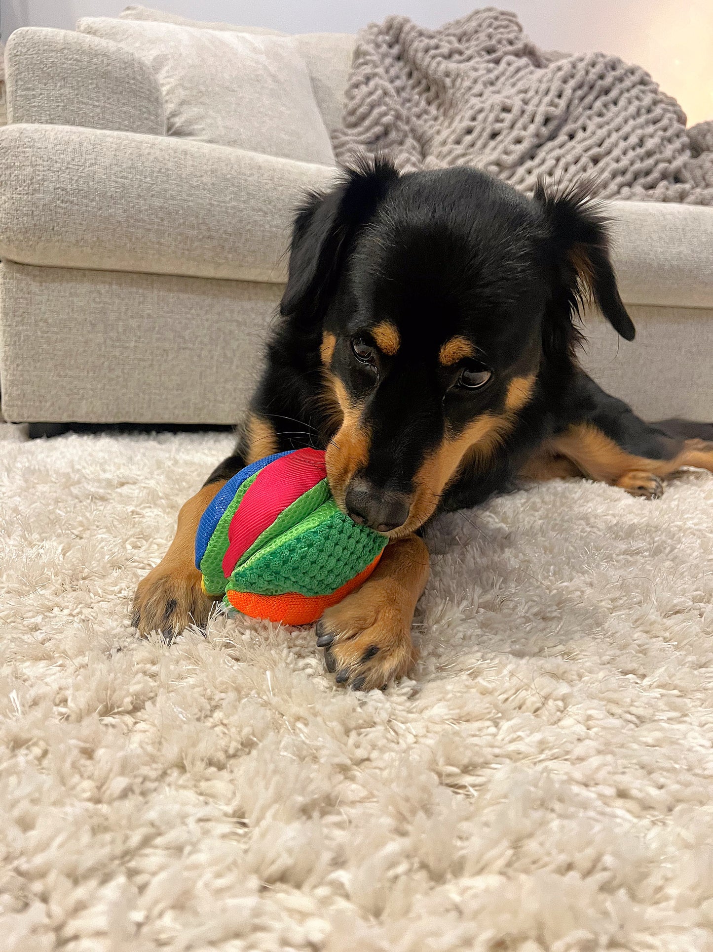 Stuffies Treat Dispensing Plush Toys