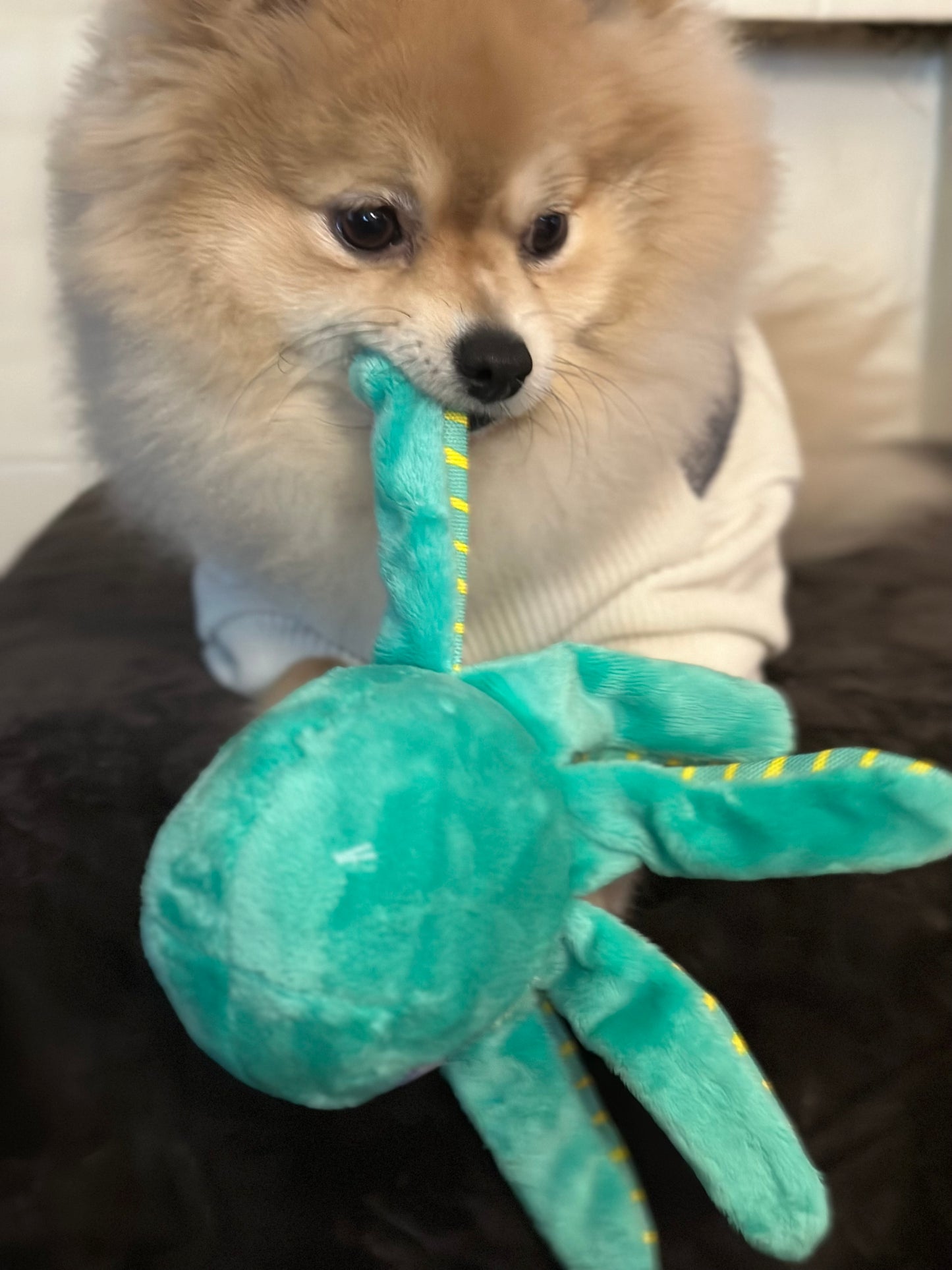 Clean Earth Plush - 100% Sustainable