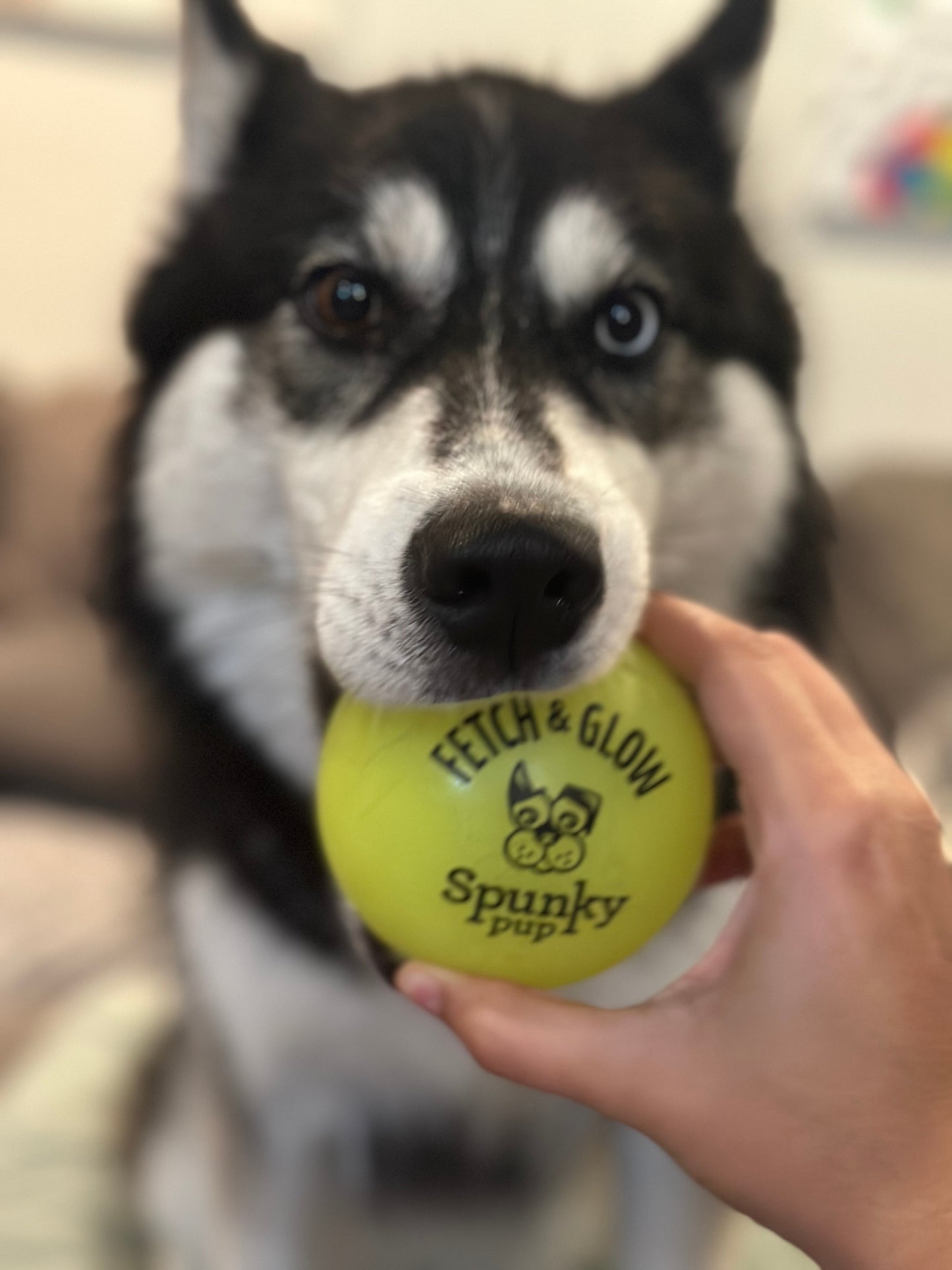 Fetch & Glow Balls