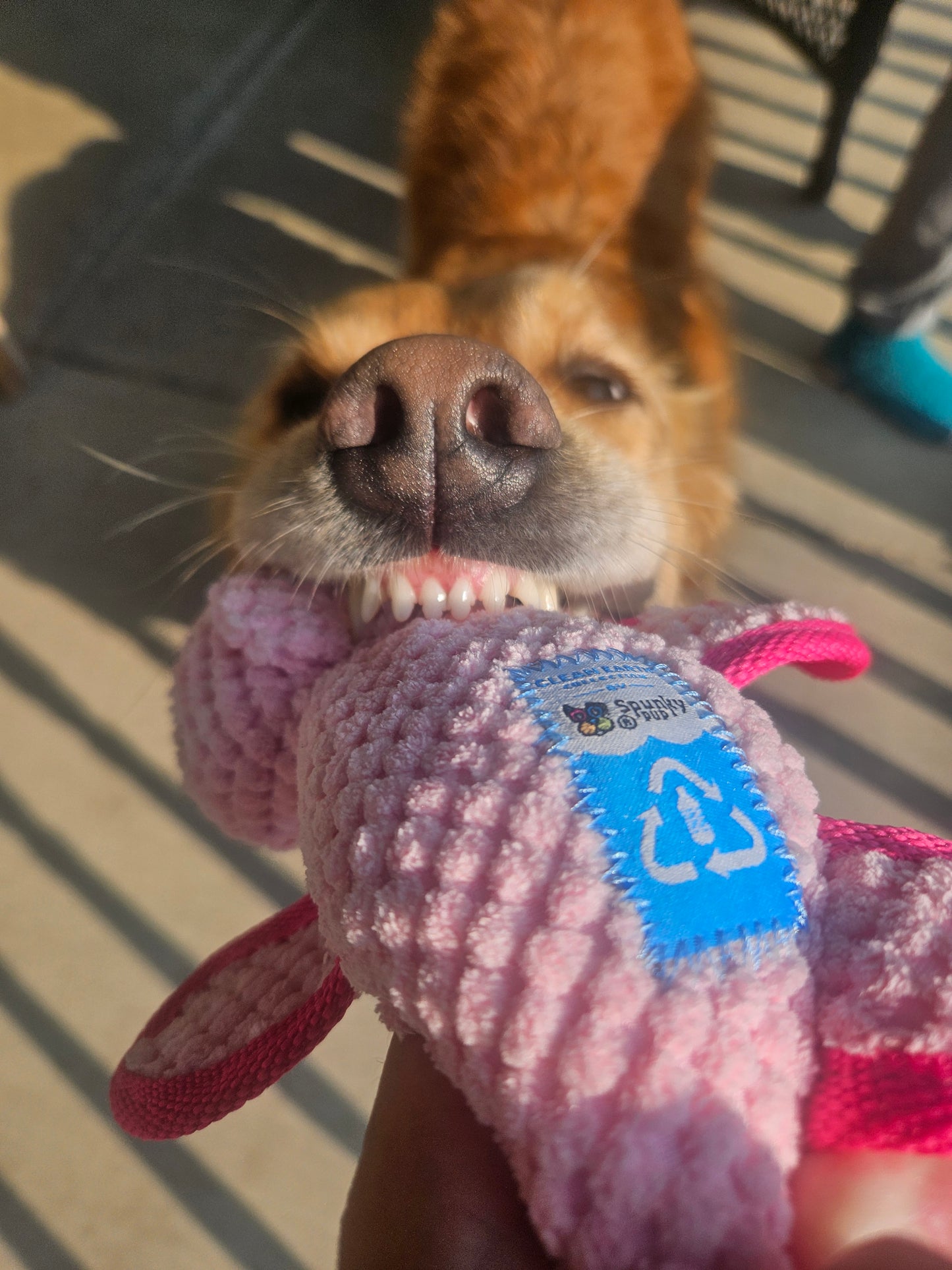 Clean Earth Plush - Textured - 100% Sustainable