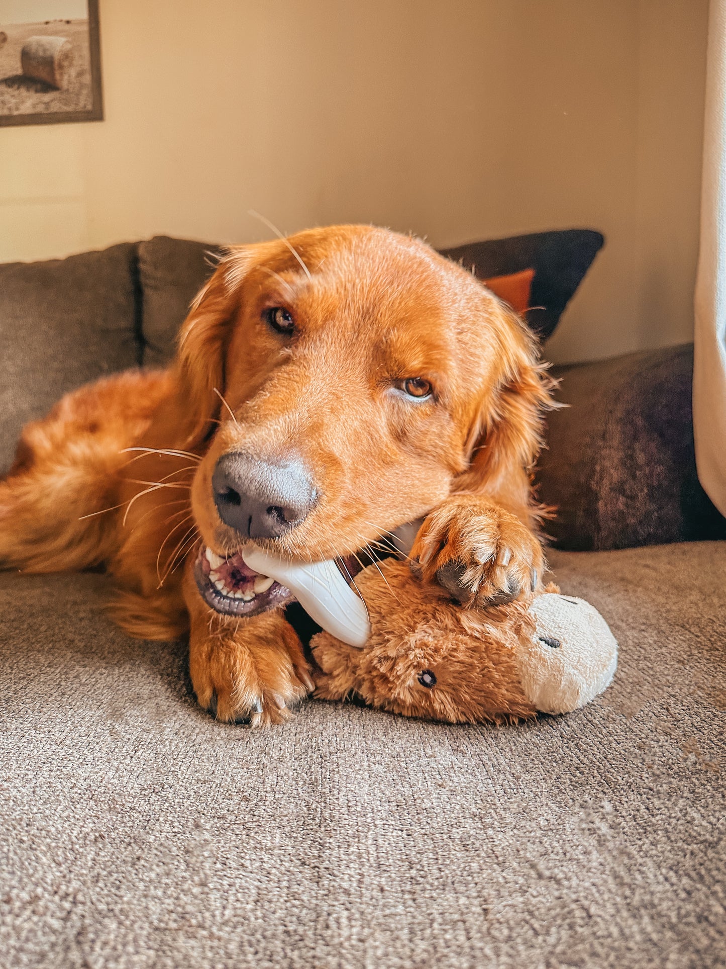 Knuckleheads 2-in-1 Toy