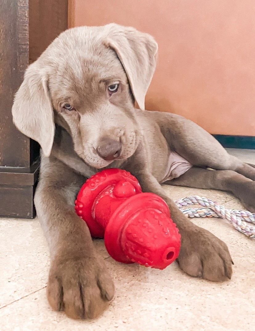 4B87D9AF-0E6D-418F-83F1-0EA1F67F4F5A