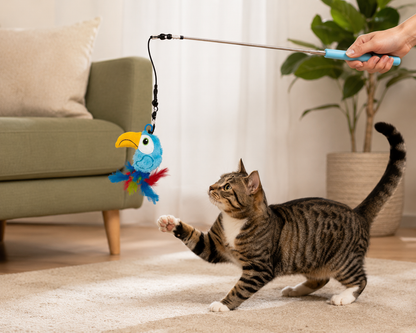 SPUNKY CAT TOYS