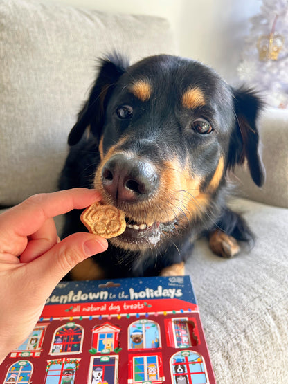 Count Down to the Holidays Treat Advent Calendar