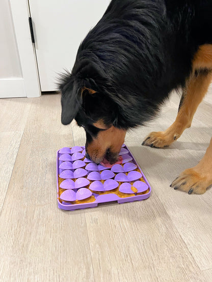 Slow Feeder - Lick Pad Combo