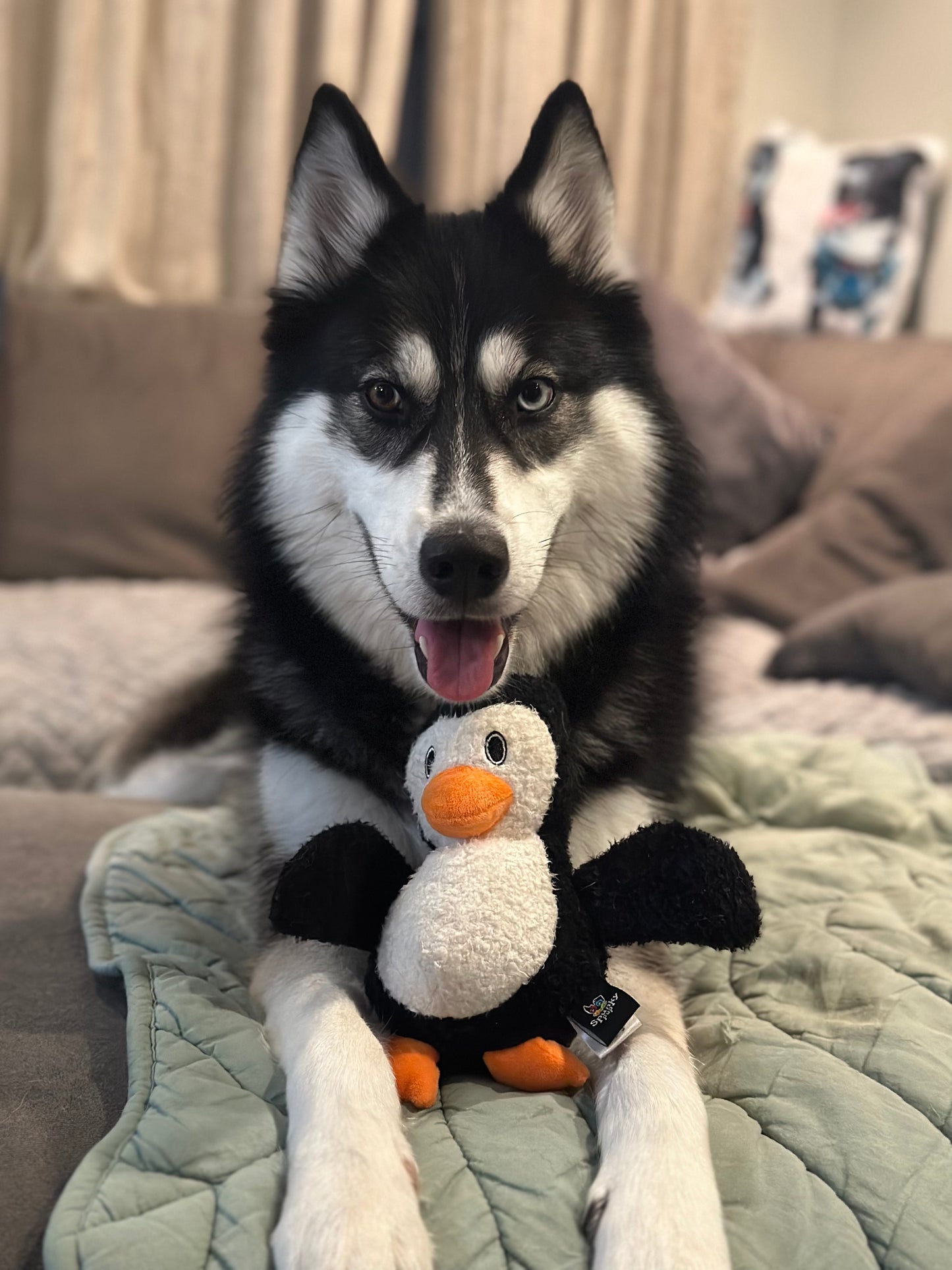 Furry Friends Plush Toys