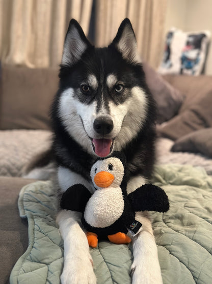 Furry Friends Plush Toys