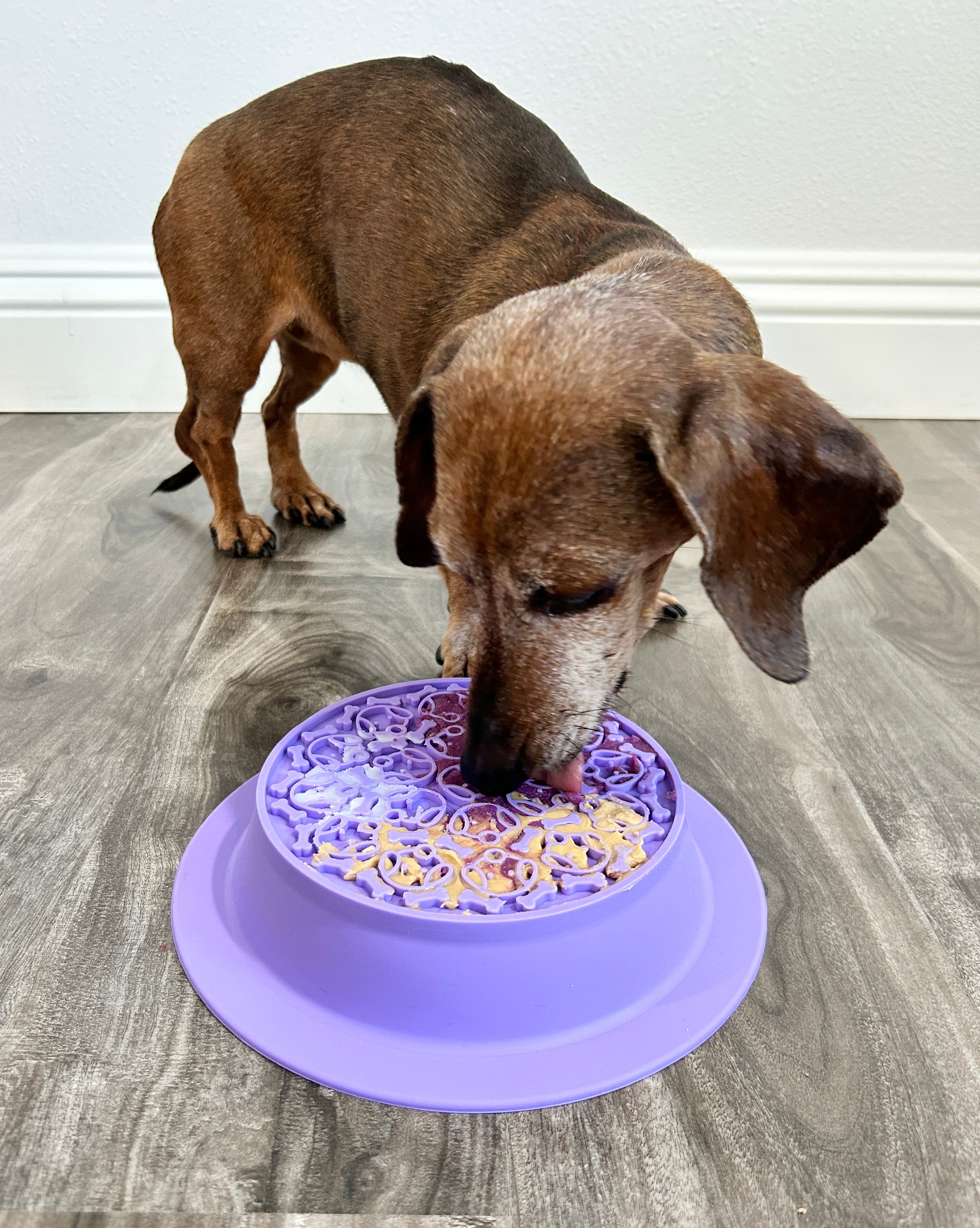 Slow Feeder Lick Pad Combo – Spunky Pup - Main Image