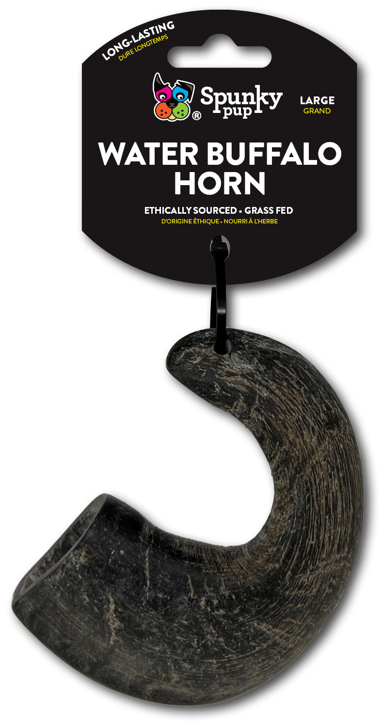 Water Buffalo Horn